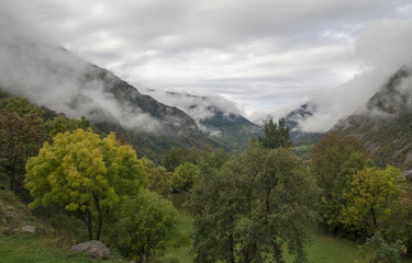 Foggy landscape