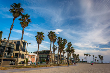 Naklejka premium Palm trees and houses along the beach, in Venice Beach, Los Ange