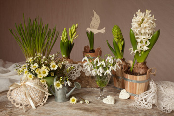 Spring flowers hyacinth snowdrops on the table