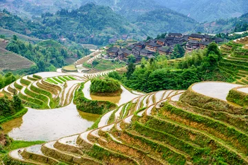 Fotobehang Guilin, China Rice Terraces © SeanPavonePhoto