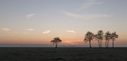 Fototapeten Zonsopkomst met bomen, panorama. © mslok