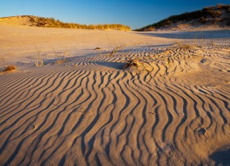 Sand dunes at sunrise