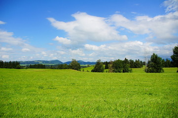 grüne Landschaft bei Pfronten