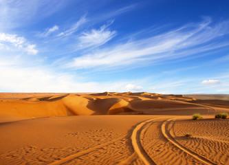 Desert