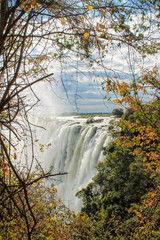 Victoria falls