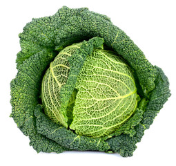 Savoy Cabbage Isolated