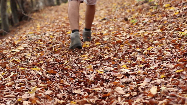 Steps through Autumn Leaves on Trail