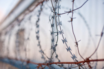 Barbed wire