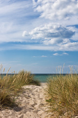 Weg zum Strand in Tisvildeleje - Dänemark 2