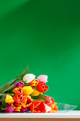 Fototapeta premium colorful tulips