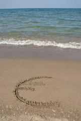 deniz19