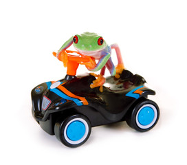 Rotaugenlaubfrosch auf Spielzeugauto - 79657059