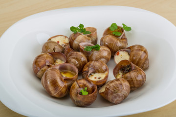 Escargot