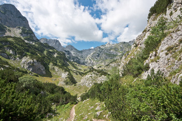 Fototapeta na wymiar Valley Durmitor National Park, Montenegro