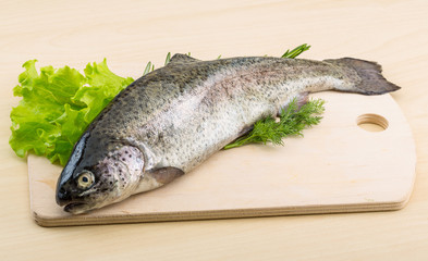 Raw fresh trout