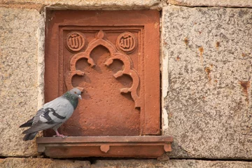 Foto auf Acrylglas Detail of Isa Khan Niyazi tomb decoration with a sitting pigeon, © donyanedomam