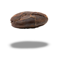 peeled cocoa seed