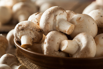 Raw Organic White Mushrooms