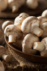 Raw Organic White Mushrooms