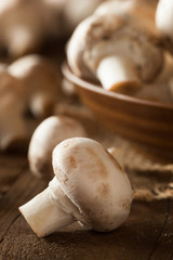 Raw Organic White Mushrooms