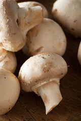 Raw Organic White Mushrooms