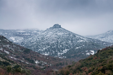 Fototapeta premium 104