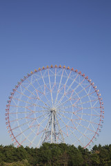 Fototapeta premium 観覧車 東京