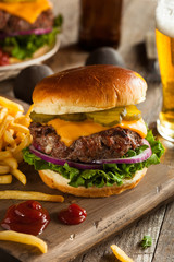 Grass Fed Bison Hamburger