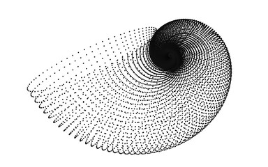 golden spiral shell grid