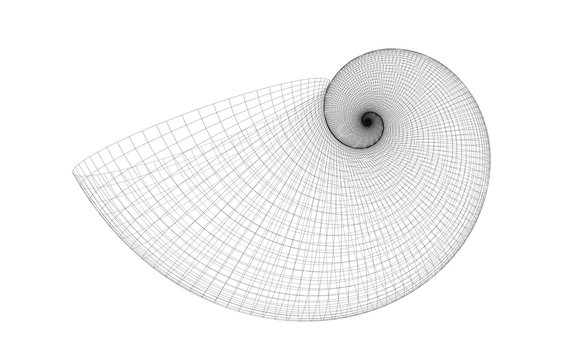 golden spiral shell grid