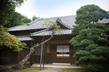 日本家屋と松　 Japanese house
