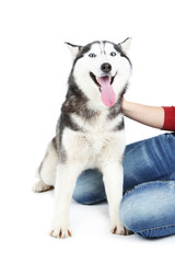 Woman and cute husky, isolated on white
