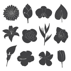 Flower Icons Set