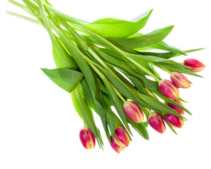 Fototapeta premium Bouquet of pink and yellow tulips on white