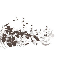 Flower and butterflies black background Design