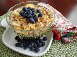 A bowl of breakfast cereal topped with blueberries