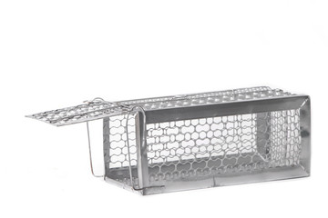 Mousetrap (rat cage) isolated on white background