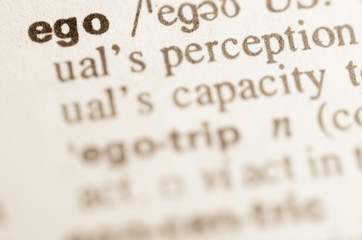 Dictionary definition of word ego