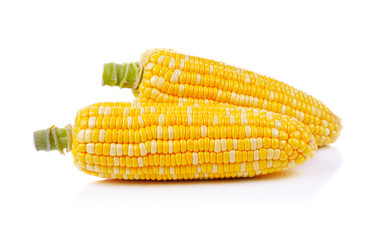 corn isolated on a white background