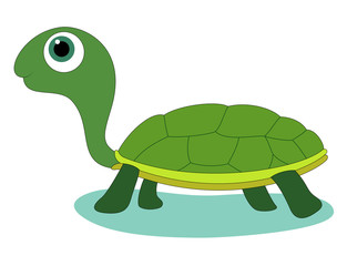 Cute Turtle