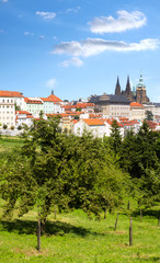 Red roofs and gardens of Prague in summer