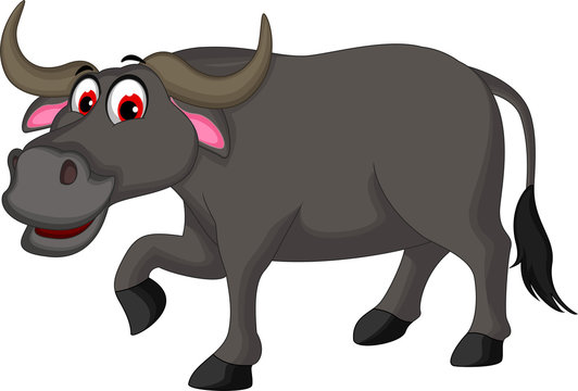 cute buffalo cartoon posing for you design