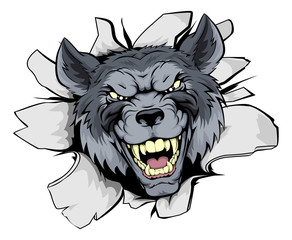 Wolf mascot break out