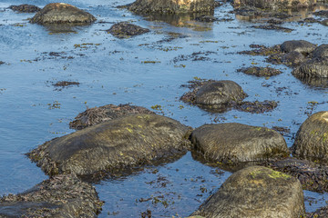 Ebbe am Meer