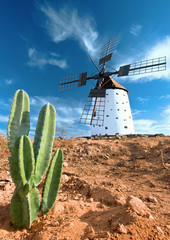 Cactus and traditional windmill © tilialucida