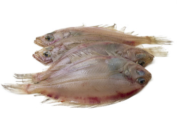 fresh fish isolated © tetxu