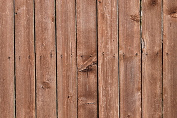 забор и досок