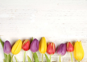 Tulpenstrauß
