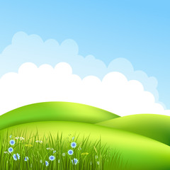 Meadow with grass and blue sky - 79681669