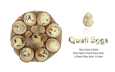 quail eggs in a wooden background
